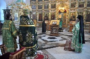 DSC_0167 1.jpg